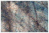 Southern Permafrost Survey