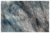 Southern Permafrost Survey
