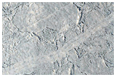 Bouldery Surface in Cerberus Palus