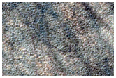 Southern Hemisphere Terrain Sample