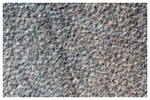 Southern Terrain Sample