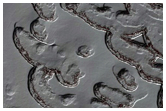 Monitoring of South Polar Residual Cap Albedo Features