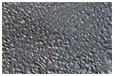 Erebus Montes Plains Contact