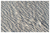 Monitoring New Impact Site