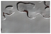 South Polar Residual Cap Summer Mosaic Campaign