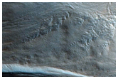 Gully Monitoring