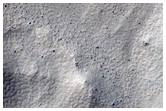 Gully Monitoring