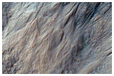 Gullies with Light-Toned Apron Material Near Atlantis Chaos