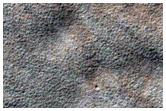Southern Permafrost Survey