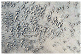 Possible Lacustrine Deposit in Crater