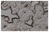 South Pole Residual Cap Interannual Change Monitoring