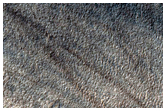 Southern Permafrost Survey
