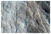 ventail dans un cratre dans Amazonis Planitia