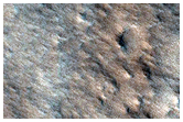 Canaux de lave sur Olympus Mons