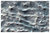 Ravins et lobes dans un cratre dans Terra Sirenum