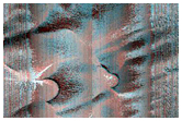 Dunes Dubbed Buzzel