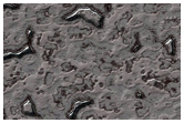 South Pole Residual Cap Interannual Change Monitoring