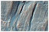 Gully Monitoring