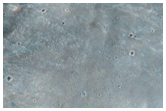 Well-Preserved 1-Kilometer Impact Crater