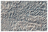 Craters in Terra Sirenum