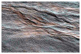 Gully Monitoring