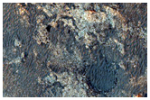 Proposed Site for Future Exploration in Nili Fossae Carbonate Plains
