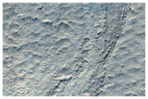 Sharp-Looking High-Latitude Gullies