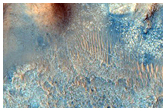 Proposed Site for Future Exploration in Nili Fossae Carbonate Plains