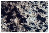 USGS Dune Database Entry Number 0045-031