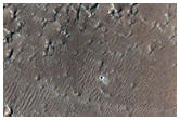 Apollinaris Patera