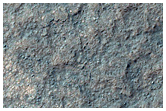 Rocky Surface Exposure