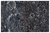 Candidate Landing Site for InSight Mission