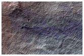 Gully Monitoring