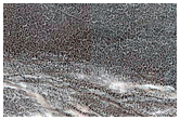 Gully Monitoring