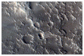 Sinuous Ridges in Western Tempe Terra