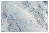 Flow Margin in Phlegra Dorsa