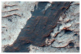 Dark Ridge on Light-Toned Substrate