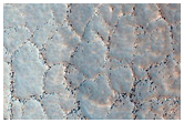 Polygons in Lyot Crater Ejecta
