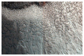 Gully Monitoring