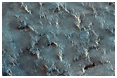 Fluidized Ejecta Blanket of Crater in Syrtis Major