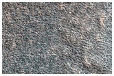 Northern Plains Seasonal Frost on Patterned Ground