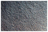 Gully Monitoring