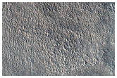 Possible Terraced Crater in Arcadia Planitia