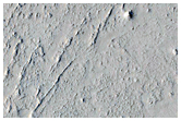 Flow Structure in Elysium Planitia