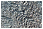 Possible Dune Changes in Newton Crater