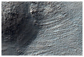 Gullies in Southern Mid-Latitude Crater