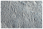 Cones Forming along Lobate Margin in Phlegra Region