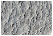 Rings in Schiaparelli Crater