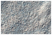 Putative Chloride-Rich Deposits Associated with Impact Ejecta