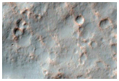 Gullies at Different Levels North of Newton Crater